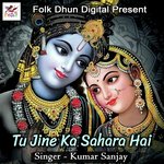 Tu Jine Ka Sahara Hai - Kumar Sanjay Song Download